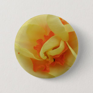 Fancy Daffodil Button