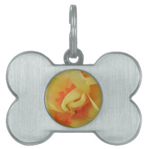 Fancy Daffodil Pet Tag