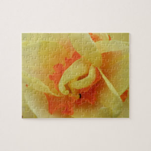 Fancy Daffodil Puzzle