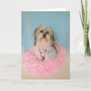 Fancy Dog Birthday Card