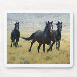 Fancy Free Mouse Mat