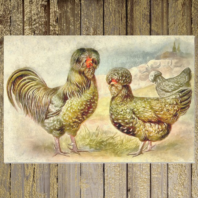 Fancy French Farm Houdan Chickens Faux Watercolor Tissue Paper (Creator Uploaded)