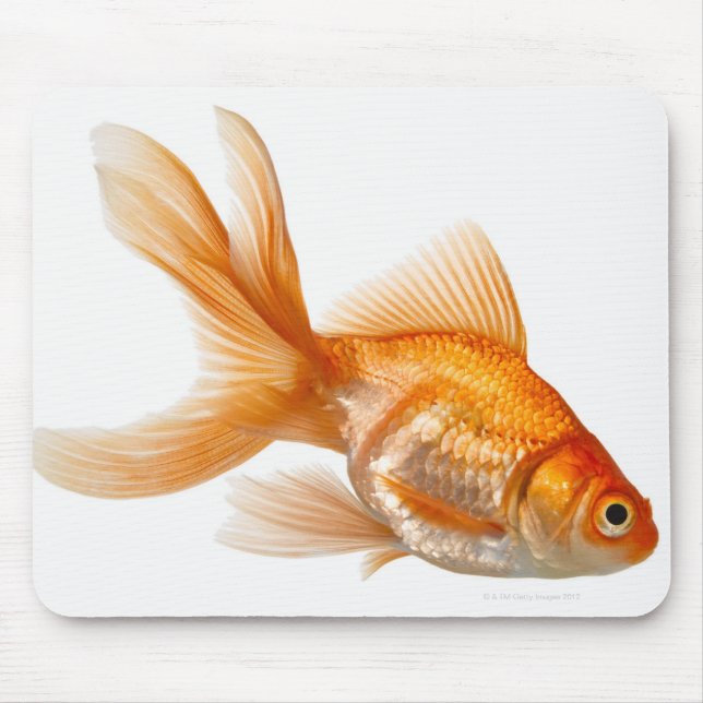Fancy Goldfish Mouse Mat (Front)