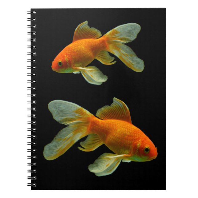 Fancy Goldfish on Black Notebook (Front)