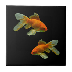 Fancy Goldfish Tile