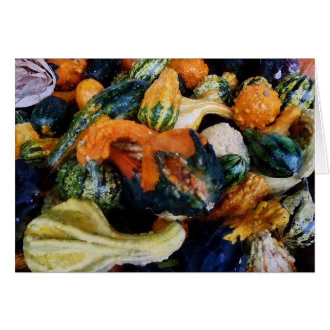 Fancy Gourds (Front Horizontal)