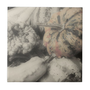 Fancy Gourds In Black And White Tile
