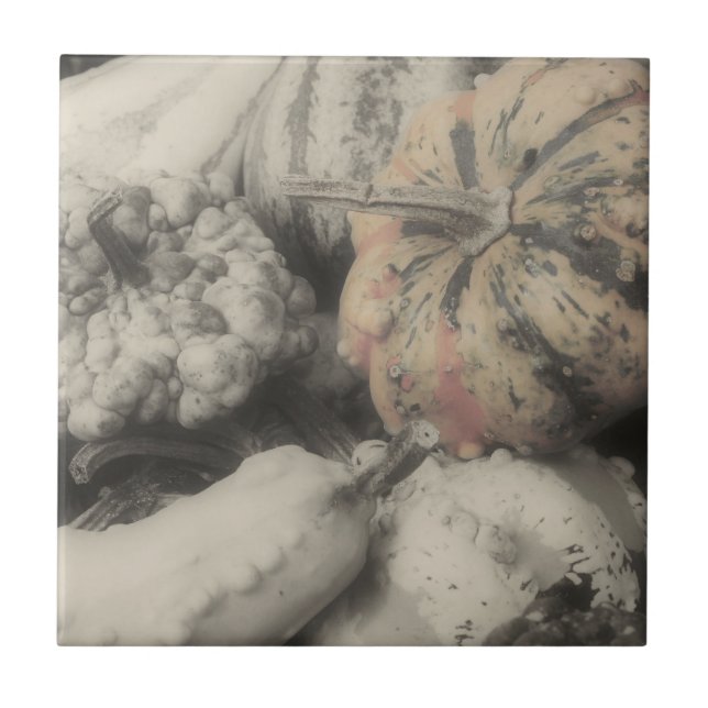 Fancy Gourds In Black And White Tile (Front)