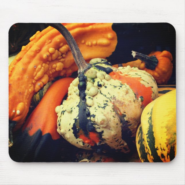 Fancy Gourds Nature  Mouse Mat (Front)