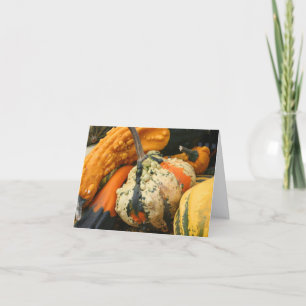 Fancy Gourds Nature Photography Note Card