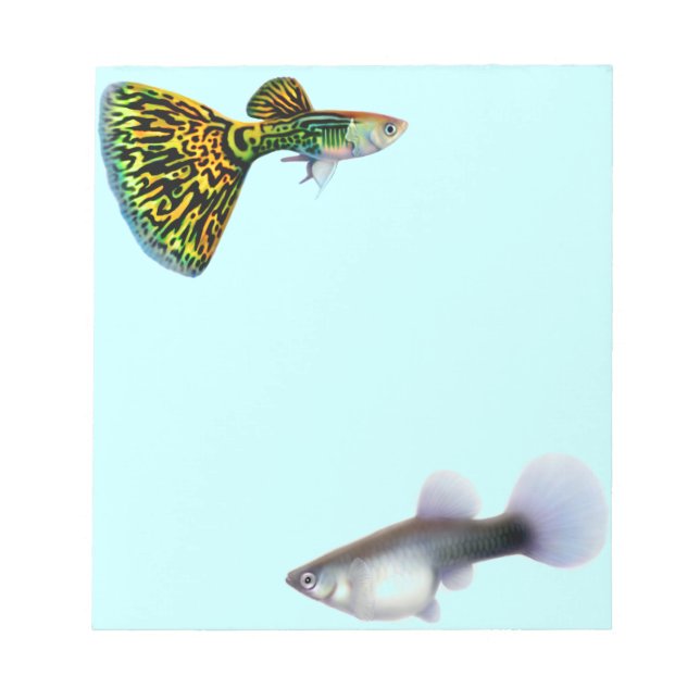 Fancy Guppies Livebearer Fish Notepad (Front)
