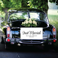 Fancy Just Married Car Banner