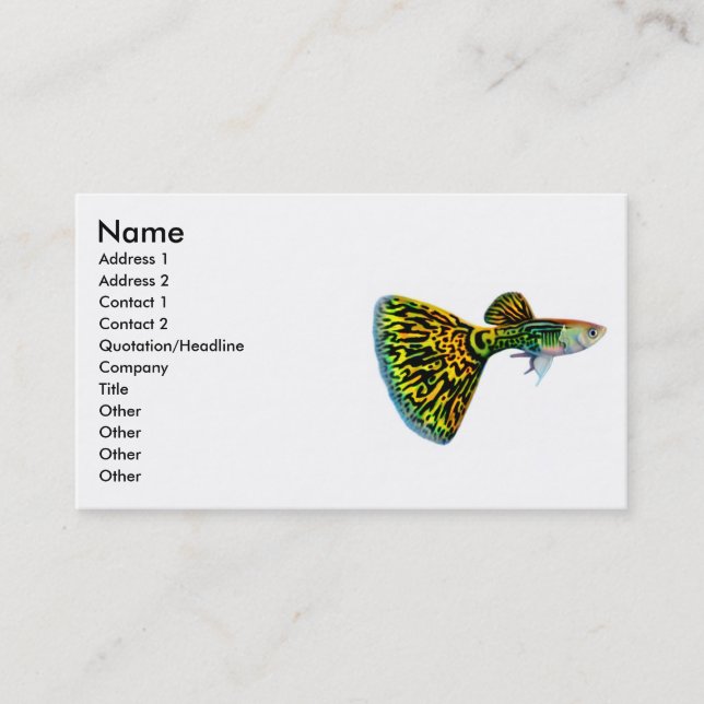Fancy Male Guppy Profile Card (Front)