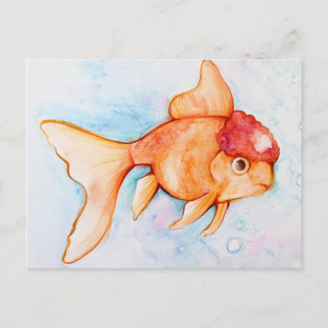Fancy Oranda Goldfish Postcard (Front)