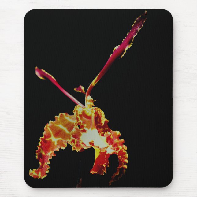 Fancy Orange Orchid Flower  Mouse Mat (Front)