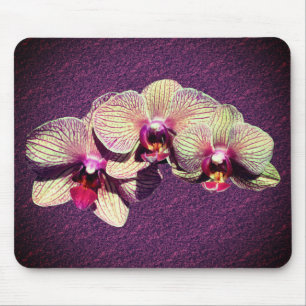 Fancy Orchid Flowers Mouse Mat