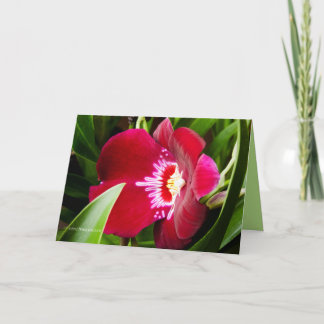 Fancy Orchid Red Thank You Card