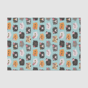 Fancy Persian Cats Tissue Paper