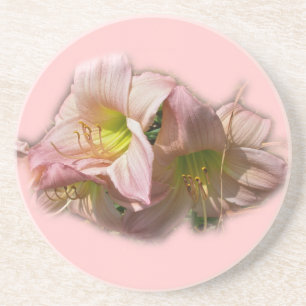 Fancy Pink Daylilies Coaster