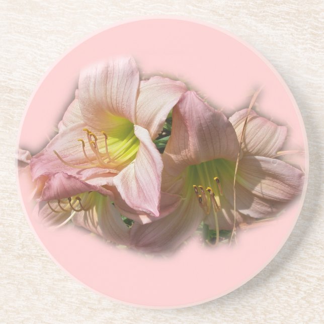 Fancy Pink Daylilies Coaster (Front)