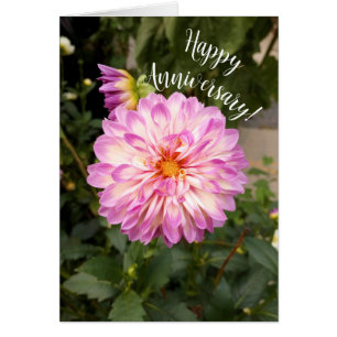 Fancy Purple and White Dahlia Anniversary Card