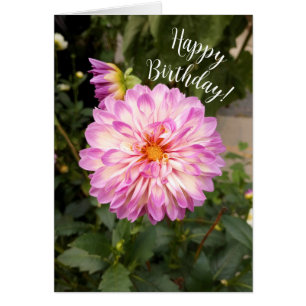 Fancy Purple and White Dahlia Happy Birthday Card