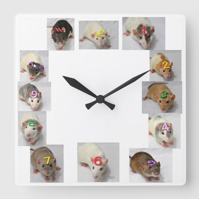 Fancy Rat Clock (Front)