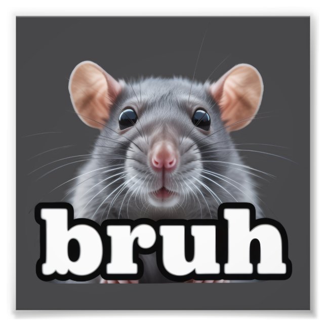 Fancy Rat Rodent Owner Meme Bruh Pet Rat Lover  Photo Print (Front)