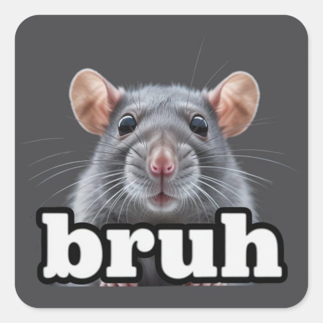Fancy Rat Rodent Owner Meme Bruh Pet Rat Lover  Square Sticker (Front)