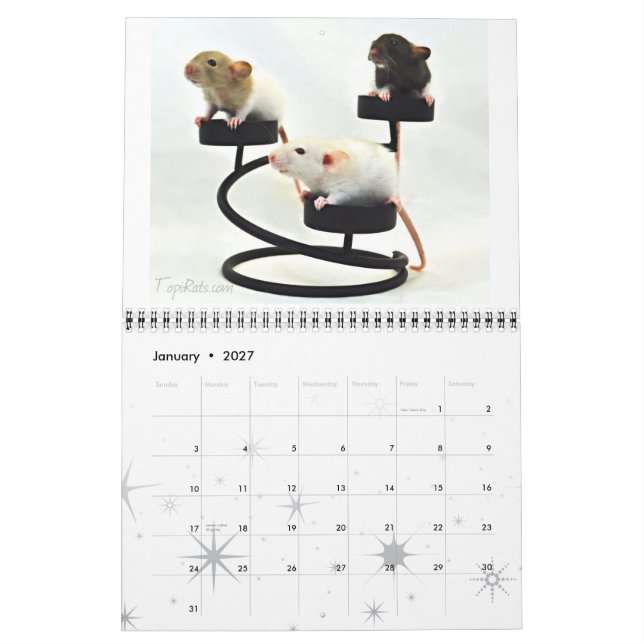 Fancy Rats 2013 Calendar (Jan 2027)