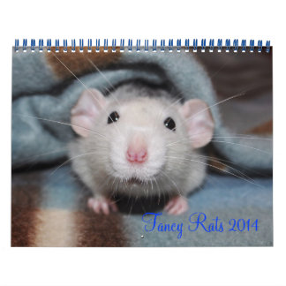 Fancy Rats 2014 Calendar