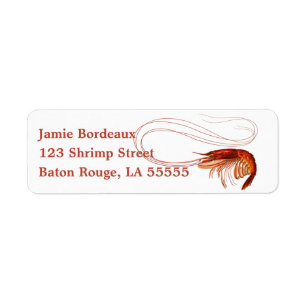 Fancy Red Shrimp on White