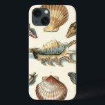 Fancy Shell Beach iPhone 13 Case<br><div class="desc">George Wolfgang Knorr is known for the delicate detail and precision of his illustrations of shells and starfish. His drawings were influenced by his own interest in science,  a popular subject matter of his era.</div>