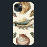 Fancy Shell Beach iPhone 13 Case<br><div class="desc">George Wolfgang Knorr is known for the delicate detail and precision of his illustrations of shells and starfish. His drawings were influenced by his own interest in science,  a popular subject matter of his era.</div>