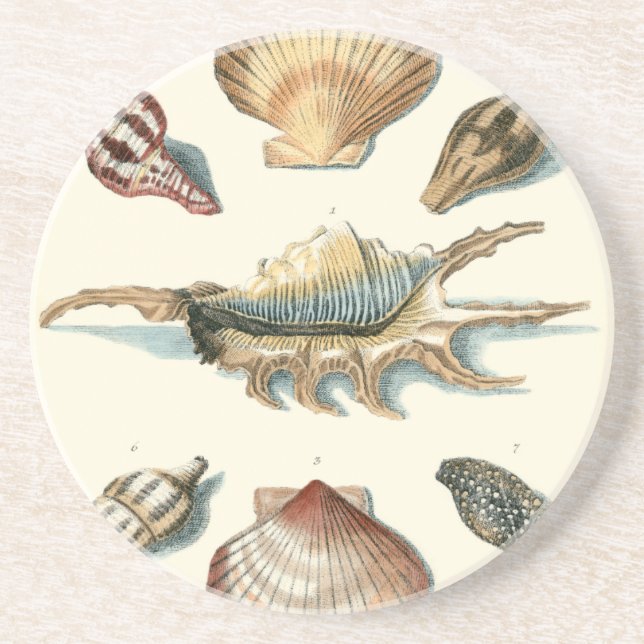 Fancy Shell Beach Coaster (Front)
