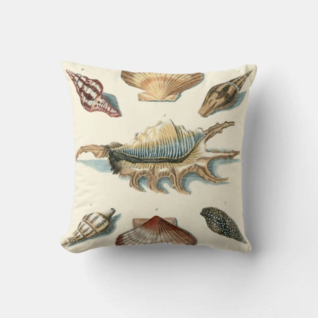 Fancy Shell Beach Cushion (Front)