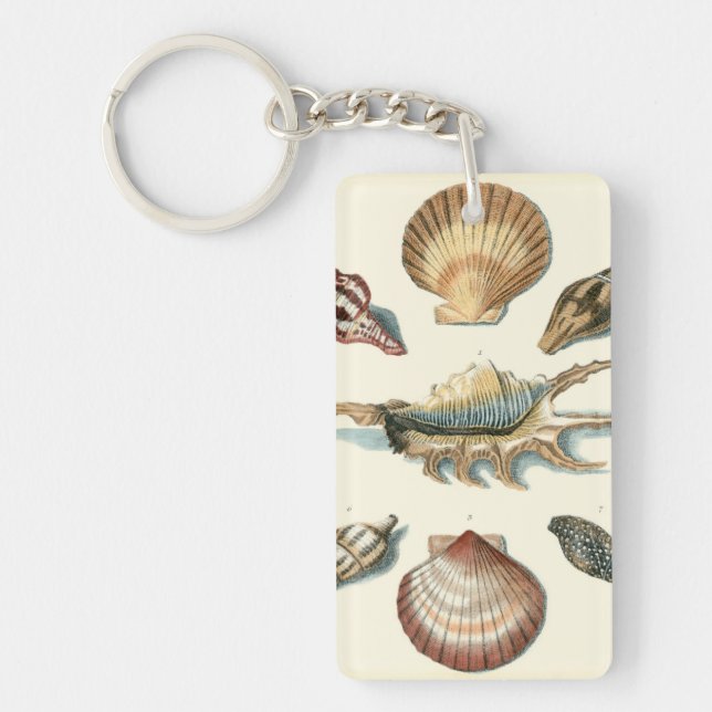 Fancy Shell Beach Key Ring (Front)