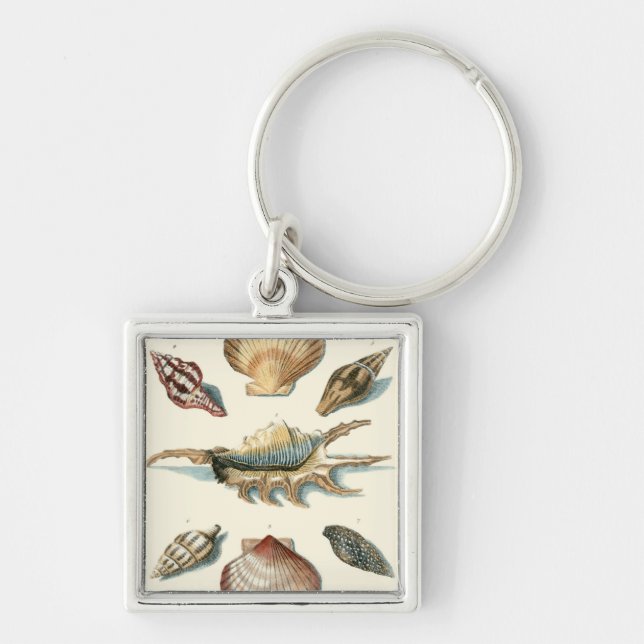 Fancy Shell Beach Key Ring (Front)