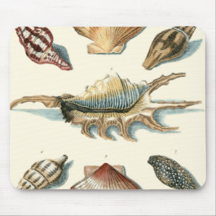 Fancy Shell Beach Mouse Mat