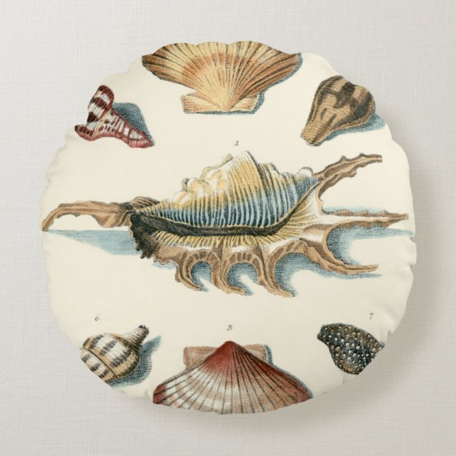 Fancy Shell Beach Round Cushion (Front)