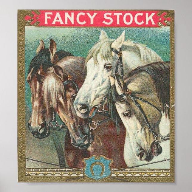 Fancy Stock Poster (Front)