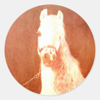 Fancy White Circus Pony Vintage Gypsy Style