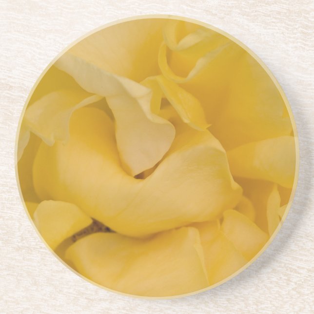 Fancy Yellow Rose  Coaster (Front)