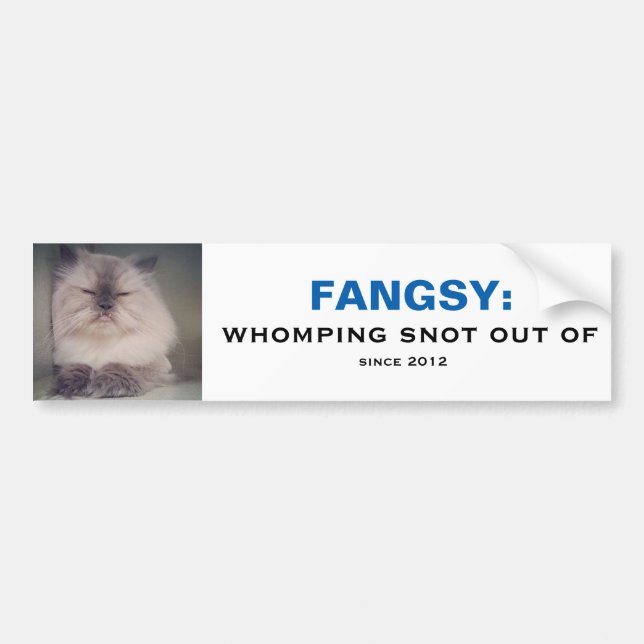 Fangsy Bumper Sticker (Front)