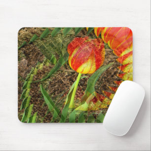 Fanned Tulip....... Mouse Mat