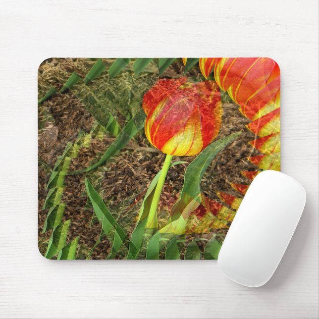 Fanned Tulip....... Mouse Mat (With Mouse)
