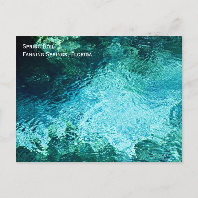 Fanning Springs Postcard (Front)