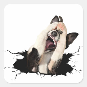 Fanny dog face square sticker