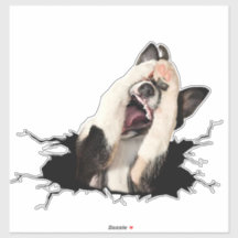 Fanny dog face sticker