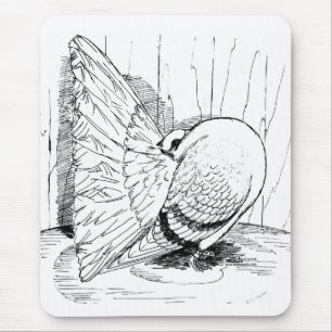Fantail 1978 Saddle Mouse Mat